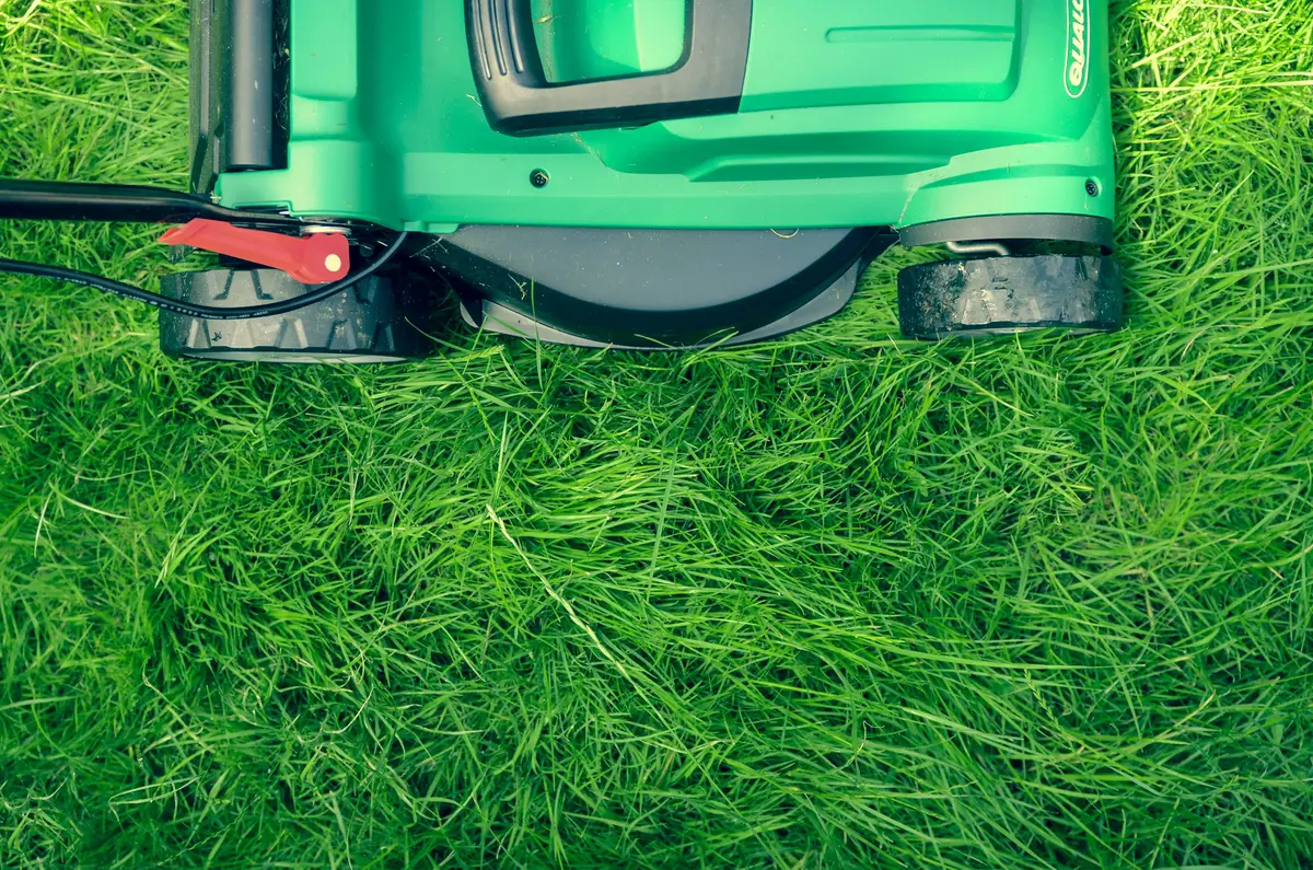 A lawn mower cutting a freshly striped green lawn, the kind of finish that keeps a lawn care customer coming back